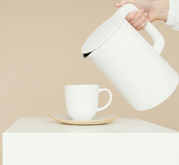 Cordless Electric Kettle
