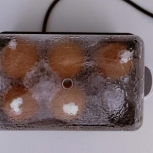 Electric Egg Cooker