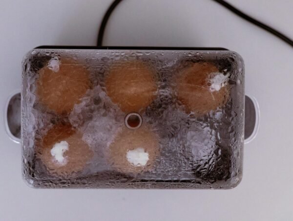 Electric Egg Cooker